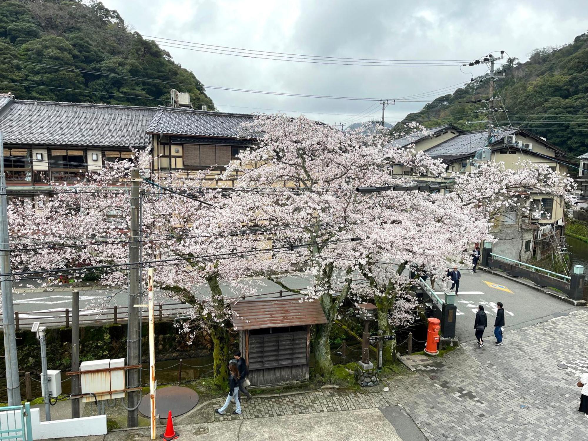 Apartment 城崎温泉一棟貸し　旅宿yadokari Toyooka (Hyogo)