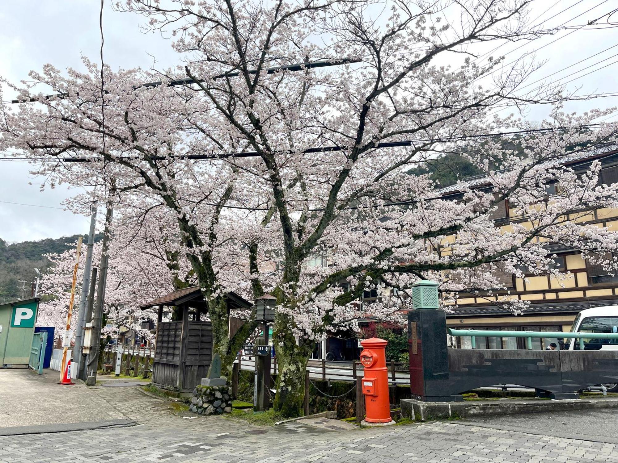 Apartment 城崎温泉一棟貸し　旅宿yadokari Toyooka (Hyogo)