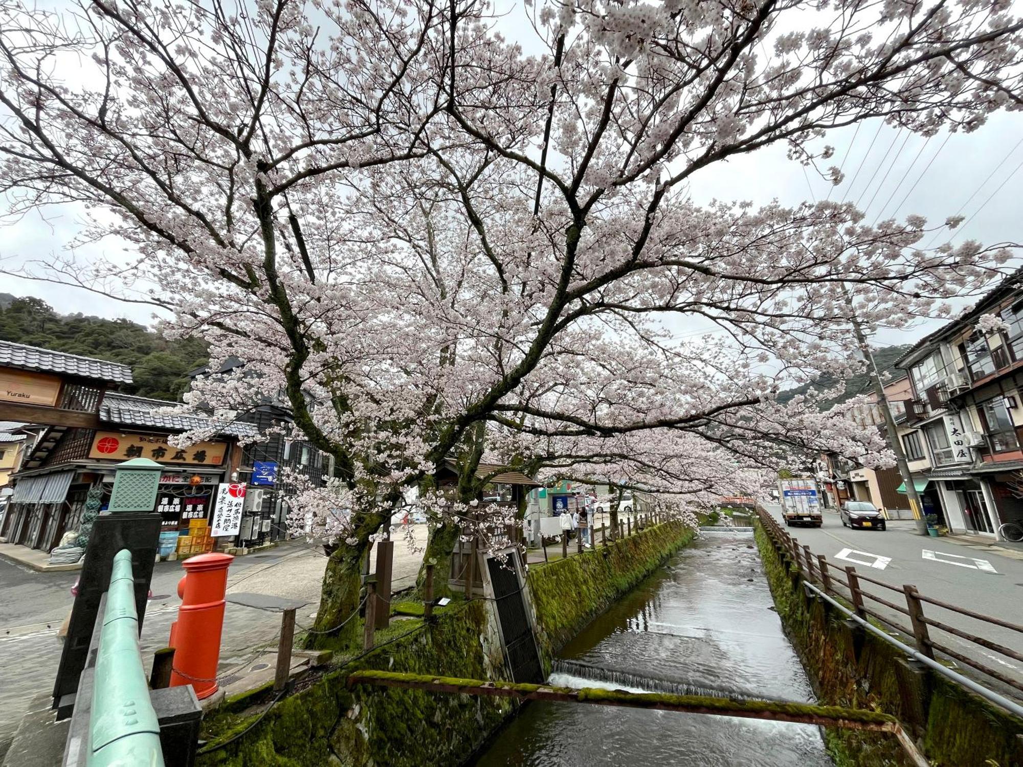 城崎温泉一棟貸し　旅宿yadokari *